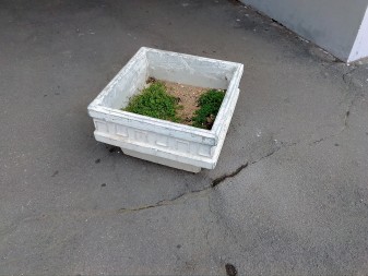 337x253  27 KB. Big one: 3264x2448  4397 KB