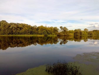 337x253  24 KB. Big one: 3264x2448  2703 KB