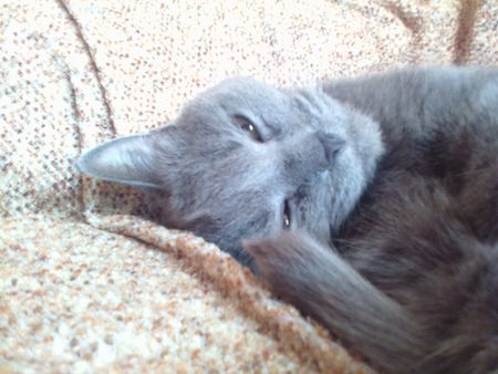 450x338  32 KB. Big one: 2592x1944  1916 KB