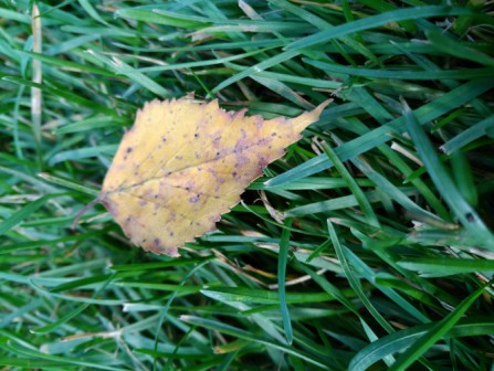 447x336  63 KB. Big one: 5344x4016  4220 KB