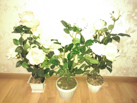 447x336  48 KB. Big one: 5344x4016  2569 KB