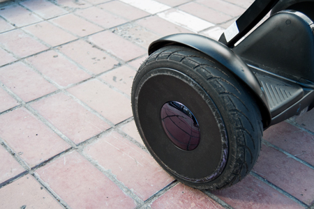 450x300  111 KB. Big one: 1500x1000  983 KB