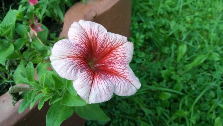 448x254  58 KB. Big one: 5280x2992  4482 KB