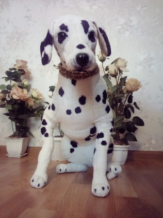 336x448  61 KB. Big one: 2448x3264  2227 KB