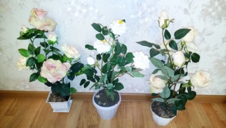 448x254  63 KB. Big one: 5280x2992  5028 KB