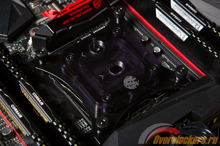 450x300  149 KB. Big one: 1500x1000  324 KB