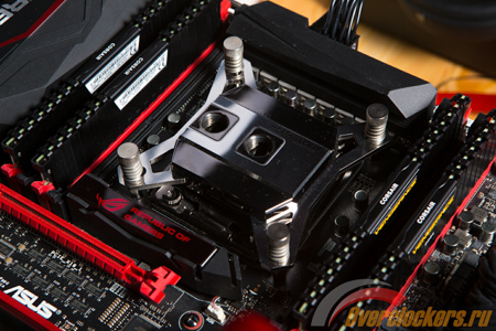 450x300  166 KB. Big one: 1500x1000  400 KB