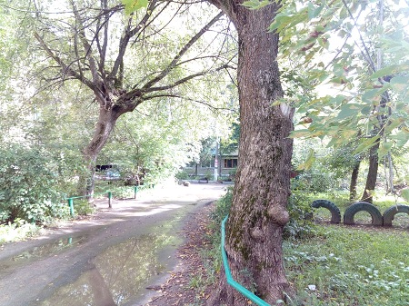 450x337  98 KB. Big one: 3264x2448  4773 KB