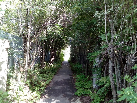 450x337  106 KB. Big one: 3264x2448  5010 KB