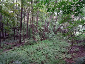 337x253  316 KB. Big one: 4160x3120  7823 KB