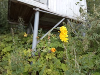 337x253  298 KB. Big one: 4160x3120  4332 KB