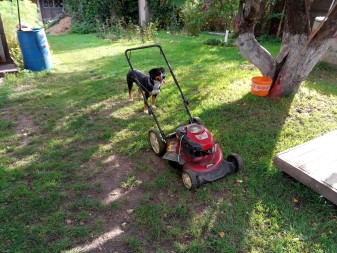 337x253  309 KB. Big one: 4160x3120  7421 KB