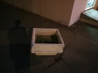 337x253  276 KB. Big one: 4160x3120  2873 KB