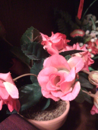 336x448  86 KB. Big one: 2448x3264  5781 KB