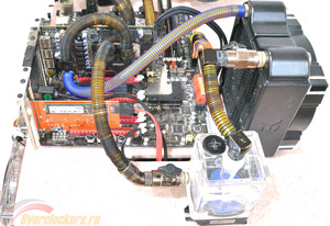 300x206  34 KB. Big one: 1200x825  294 KB