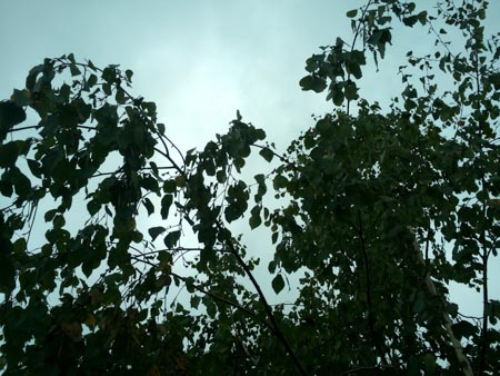 450x338  53 KB. Big one: 4160x3120  4038 KB