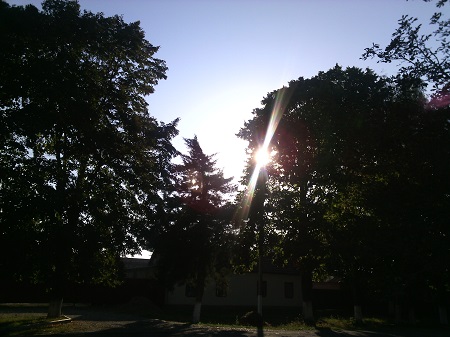 450x337  68 KB. Big one: 2560x1920  1052 KB