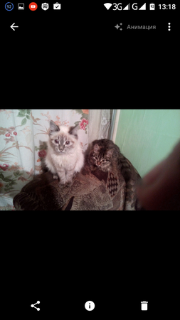 253x450  106 KB. Big one: 720x1280  536 KB