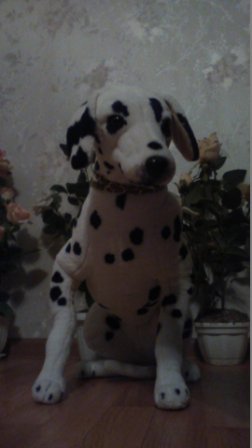 252x448  23 KB. Big one: 1080x1920  193 KB