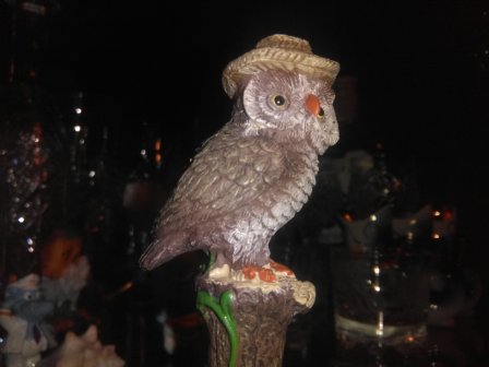 448x336  27 KB. Big one: 3264x2448  675 KB