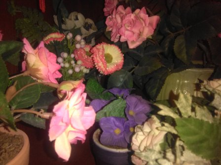 448x336  38 KB. Big one: 3264x2448  1010 KB