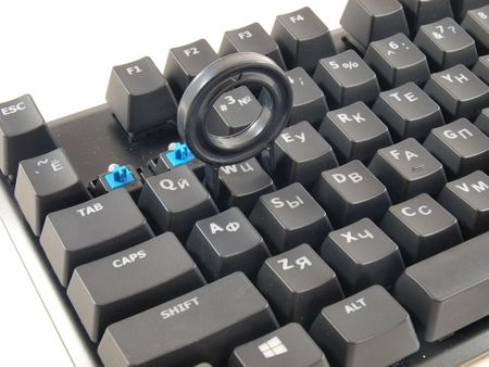 450x338  39 KB. Big one: 1000x750  300 KB