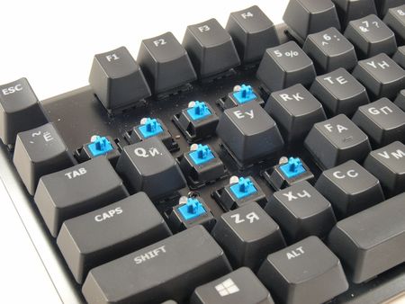 450x338  39 KB. Big one: 1000x750  306 KB