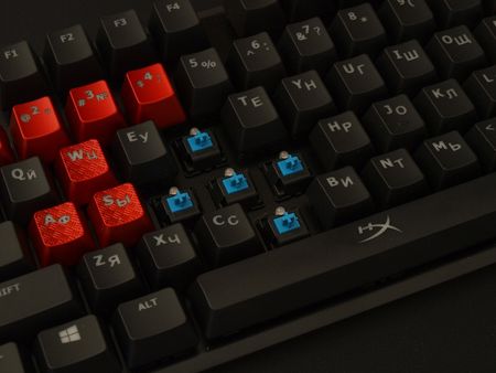 450x338  27 KB. Big one: 1000x750  267 KB