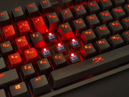 450x338  37 KB. Big one: 1000x750  363 KB