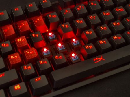 450x338  33 KB. Big one: 1000x750  295 KB