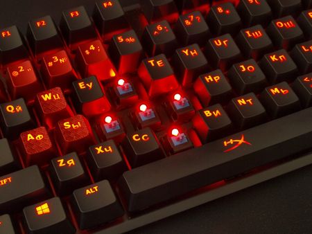 450x338  36 KB. Big one: 1000x750  321 KB