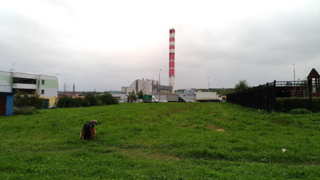 450x253  43 KB. Big one: 4656x2620  2160 KB