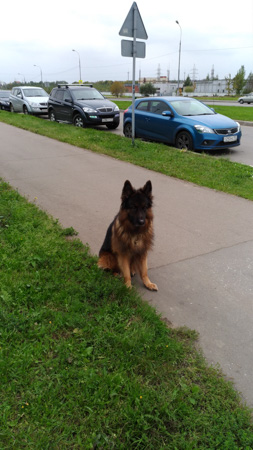 253x450  58 KB. Big one: 2620x4656  2645 KB