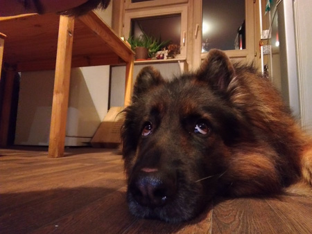 450x338  59 KB. Big one: 3264x2448  1432 KB