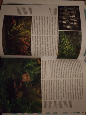 300x399  25 KB. Big one: 3492x4656  1913 KB