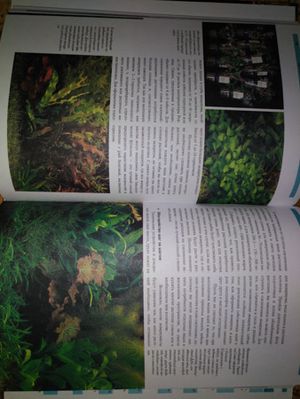 300x399  27 KB. Big one: 3492x4656  2656 KB