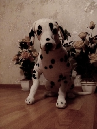 336x448  55 KB. Big one: 1920x2560  990 KB