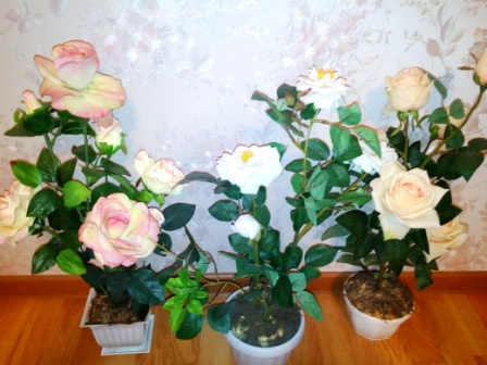 448x336  76 KB. Big one: 4160x3120  4093 KB