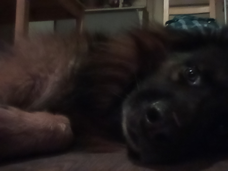 450x338  56 KB. Big one: 1600x1200  251 KB