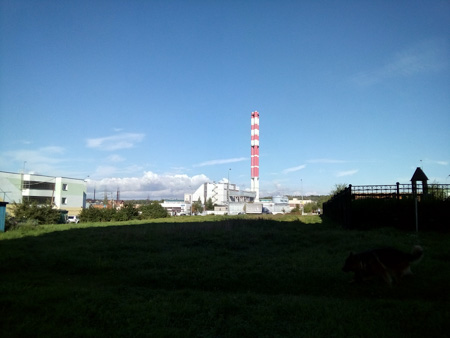 450x338  40 KB. Big one: 4160x3120  1675 KB