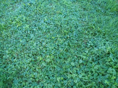 450x338  52 KB. Big one: 4160x3120  3217 KB