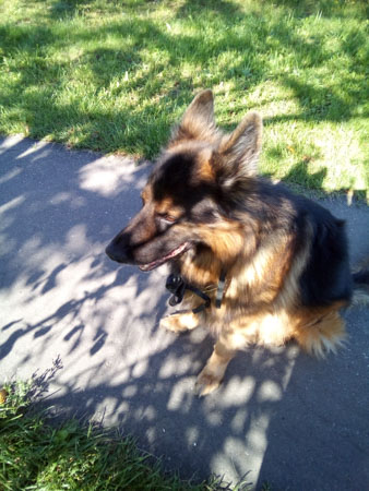 338x450  56 KB. Big one: 3120x4160  2672 KB