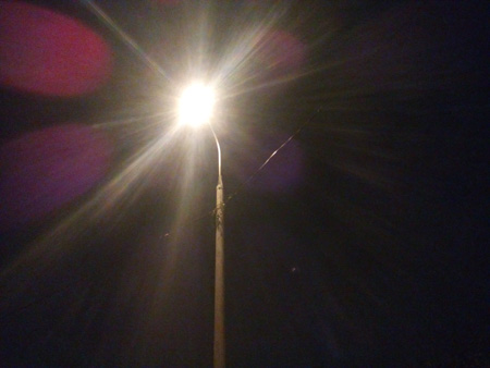 450x338  42 KB. Big one: 4160x3120  2335 KB