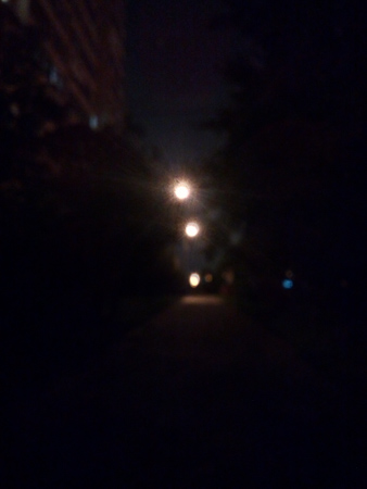 338x450  42 KB. Big one: 3120x4160  1413 KB