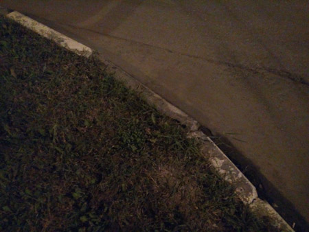 450x338  47 KB. Big one: 4160x3120  2681 KB