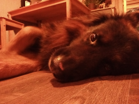 450x338  56 KB. Big one: 2560x1920  622 KB