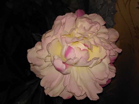 450x337  37 KB. Big one: 4160x3120  2264 KB