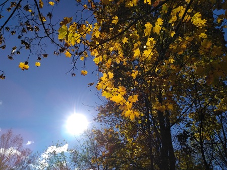 450x337  87 KB. Big one: 4160x3120  5492 KB