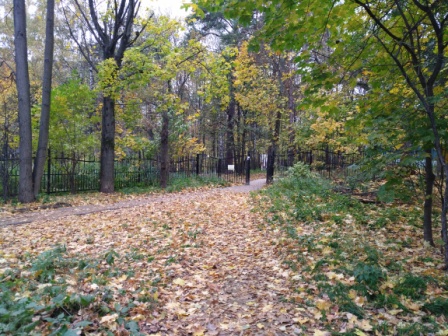 448x336  115 KB. Big one: 4608x3456  8582 KB