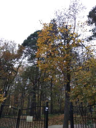 336x448  89 KB. Big one: 3456x4608  5476 KB